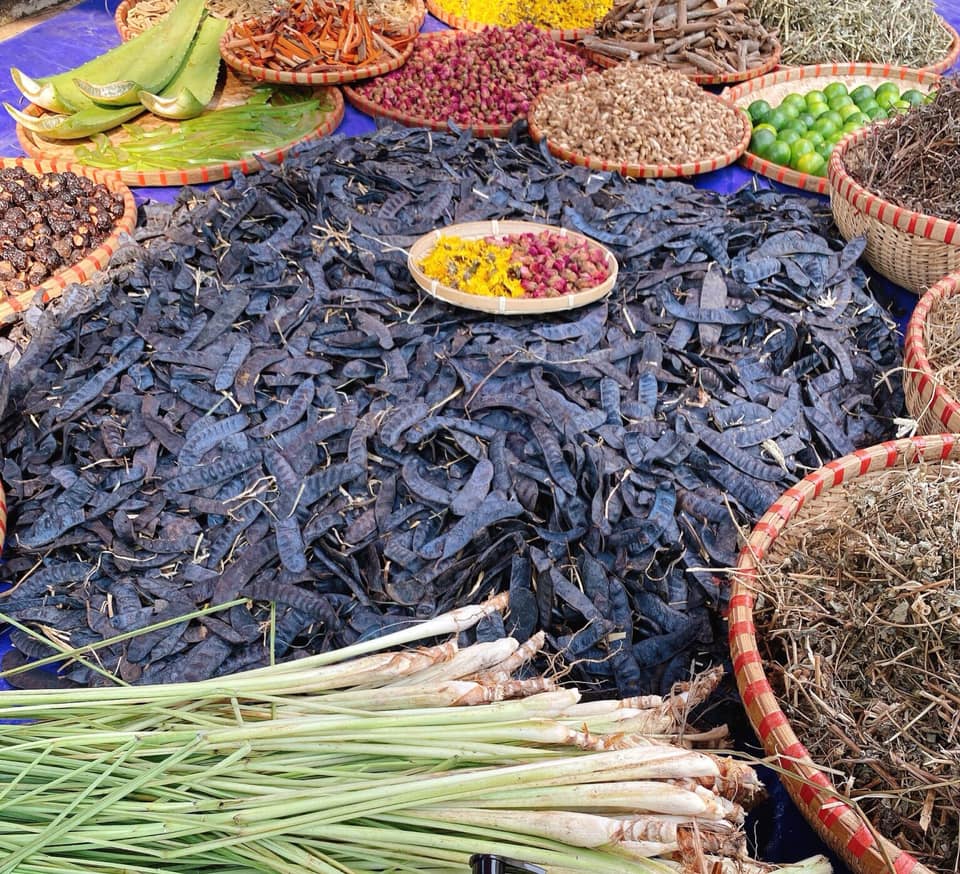 dầu gội thảo dược