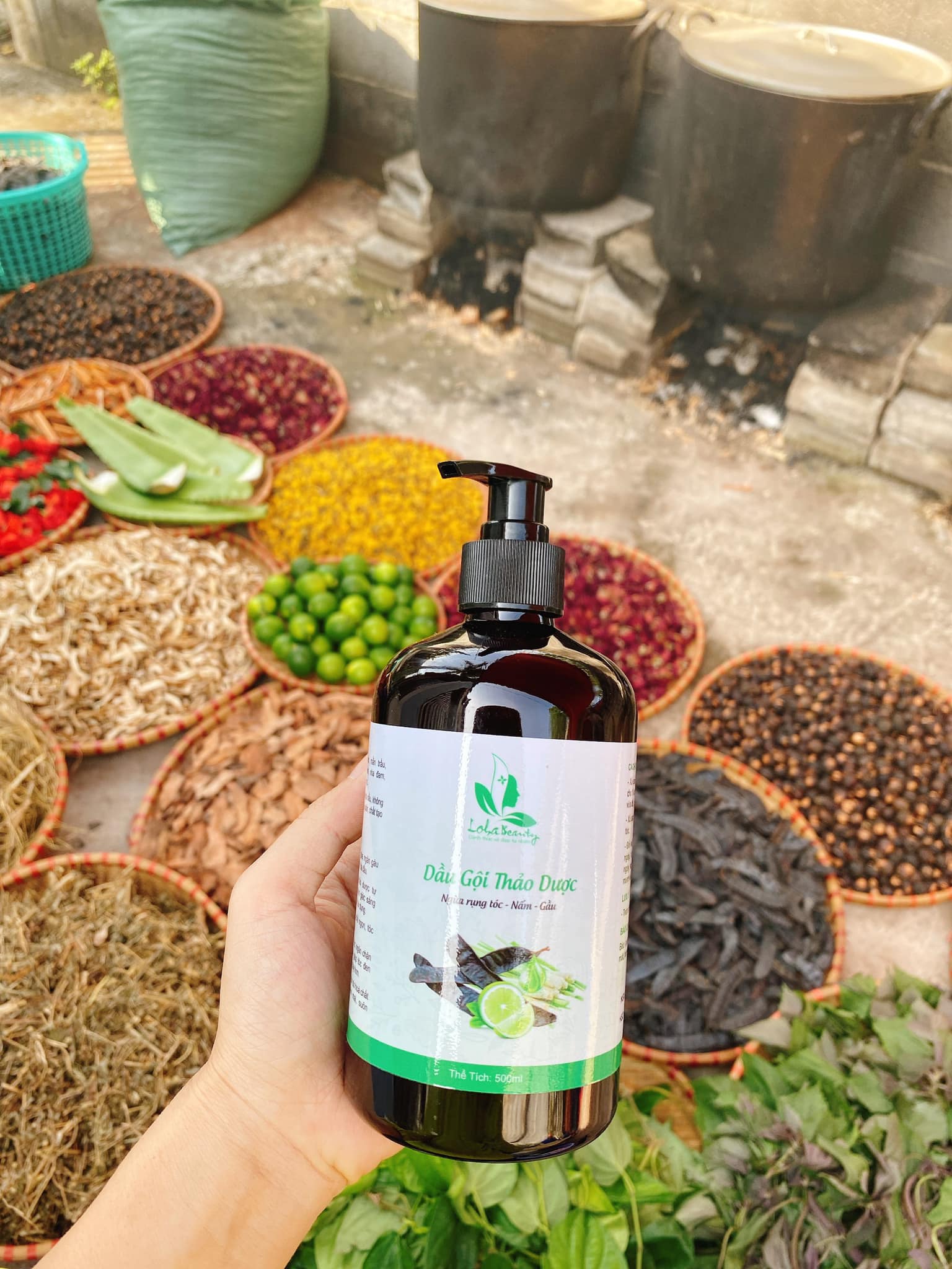 dầu gội đầu thảo dược ngăn ngừa tóc